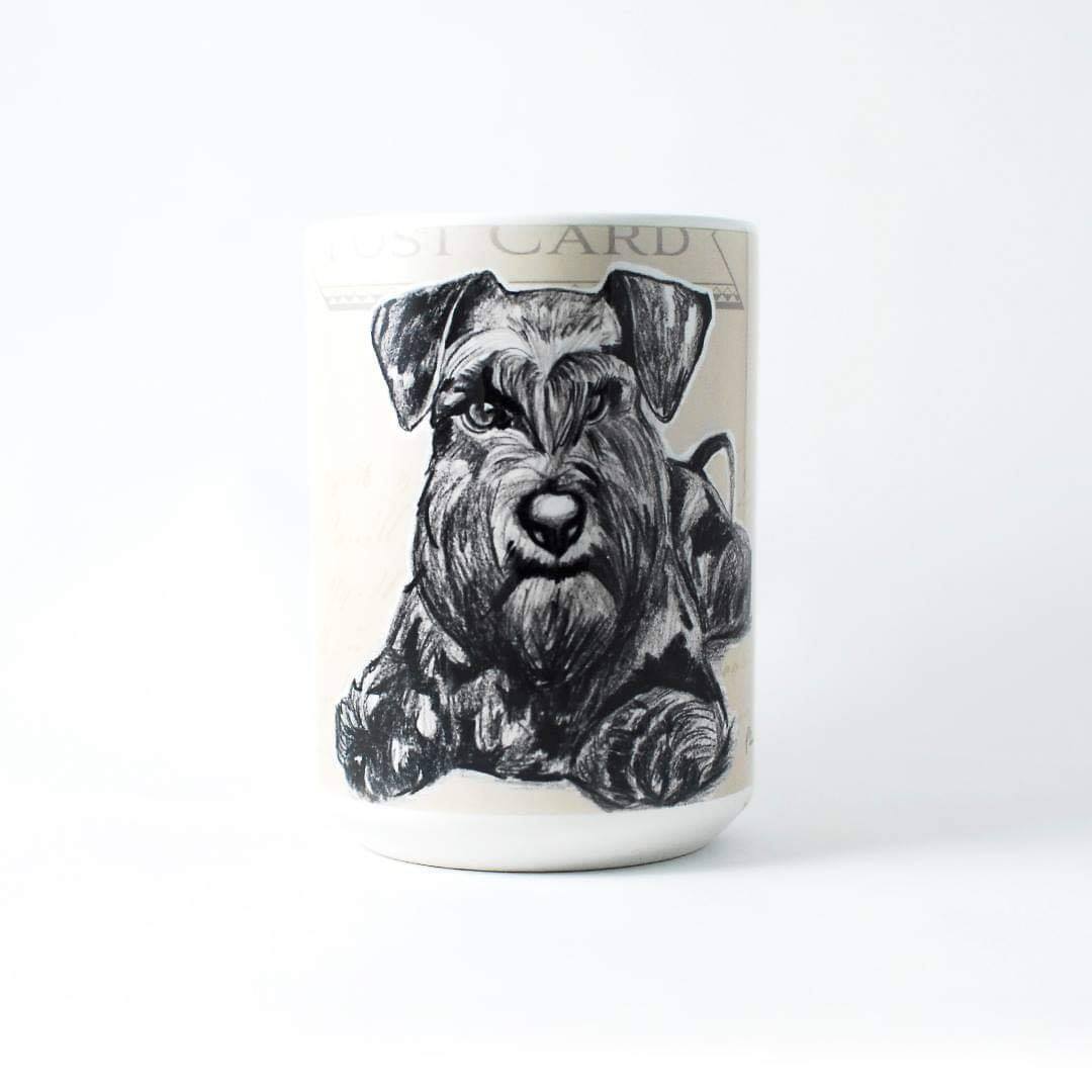 Schnauzer negro