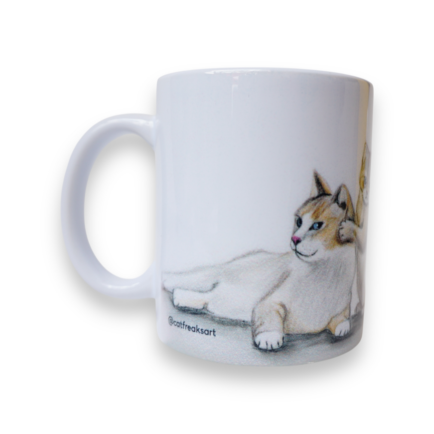 Mamás y gatitos