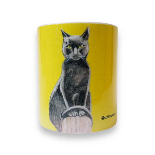 Gato negro I