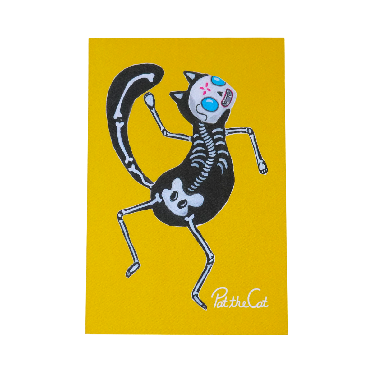 Postal Gato calavera
