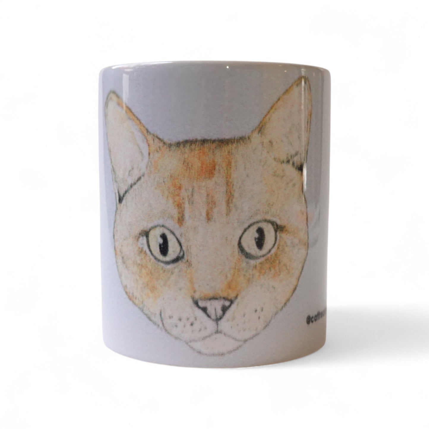 Cara gato naranja