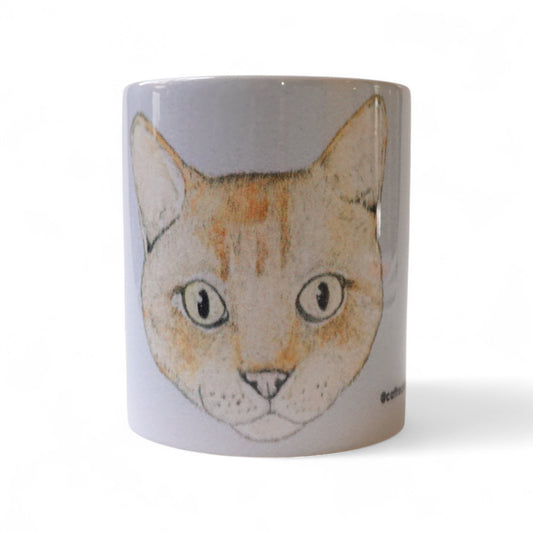 Cara gato naranja