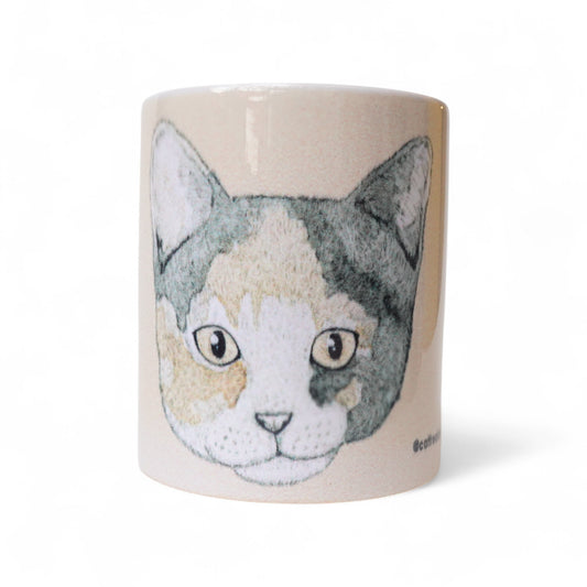 Cara gato calicó