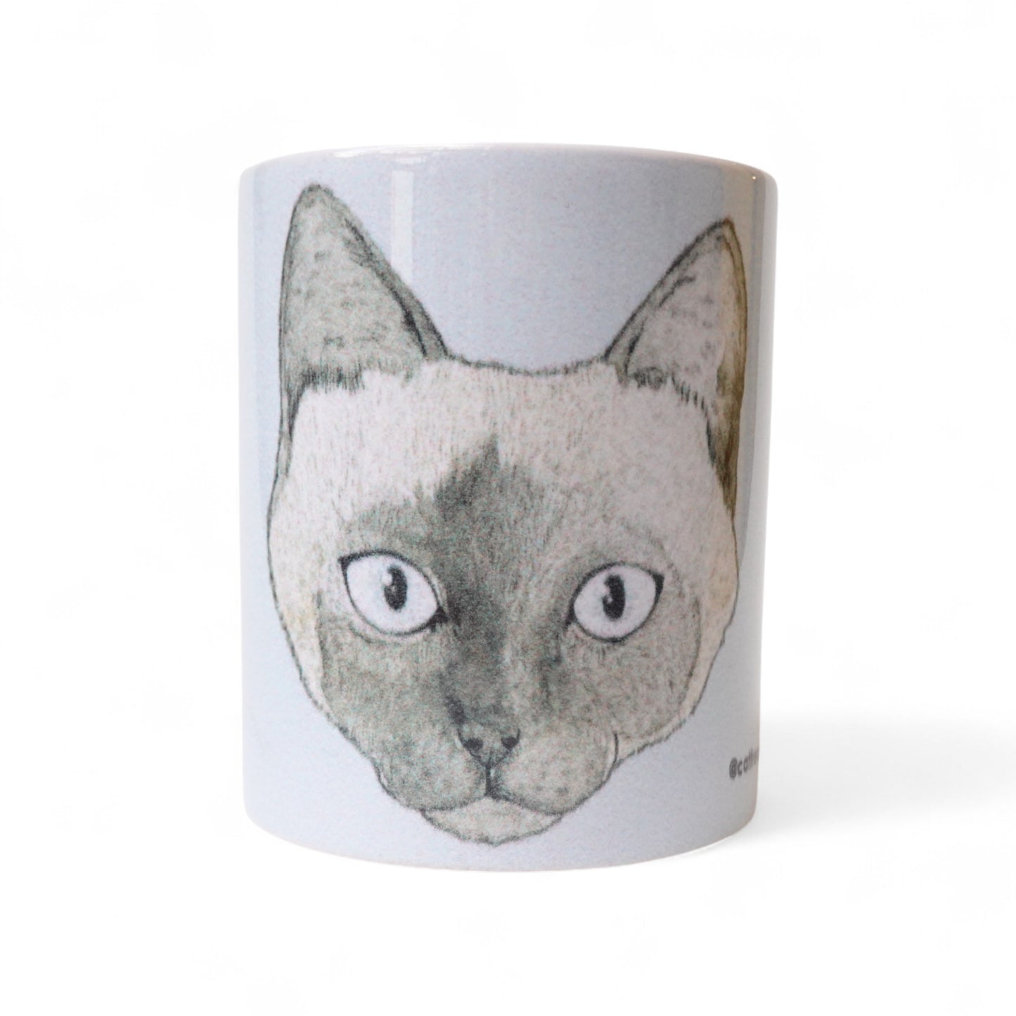 Cara gato siamés