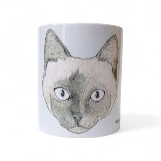 Cara gato siamés