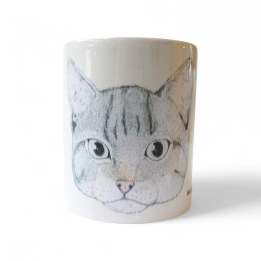 Cara gato atigrado