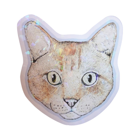 Sticker cara gato naranja