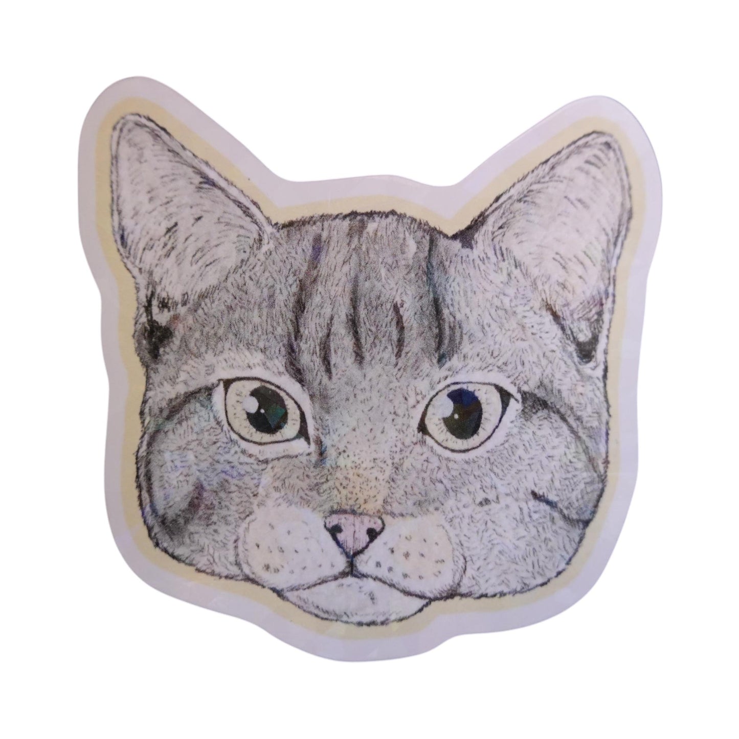 Sticker cara gato atigrado