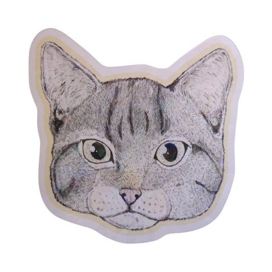 Sticker cara gato atigrado