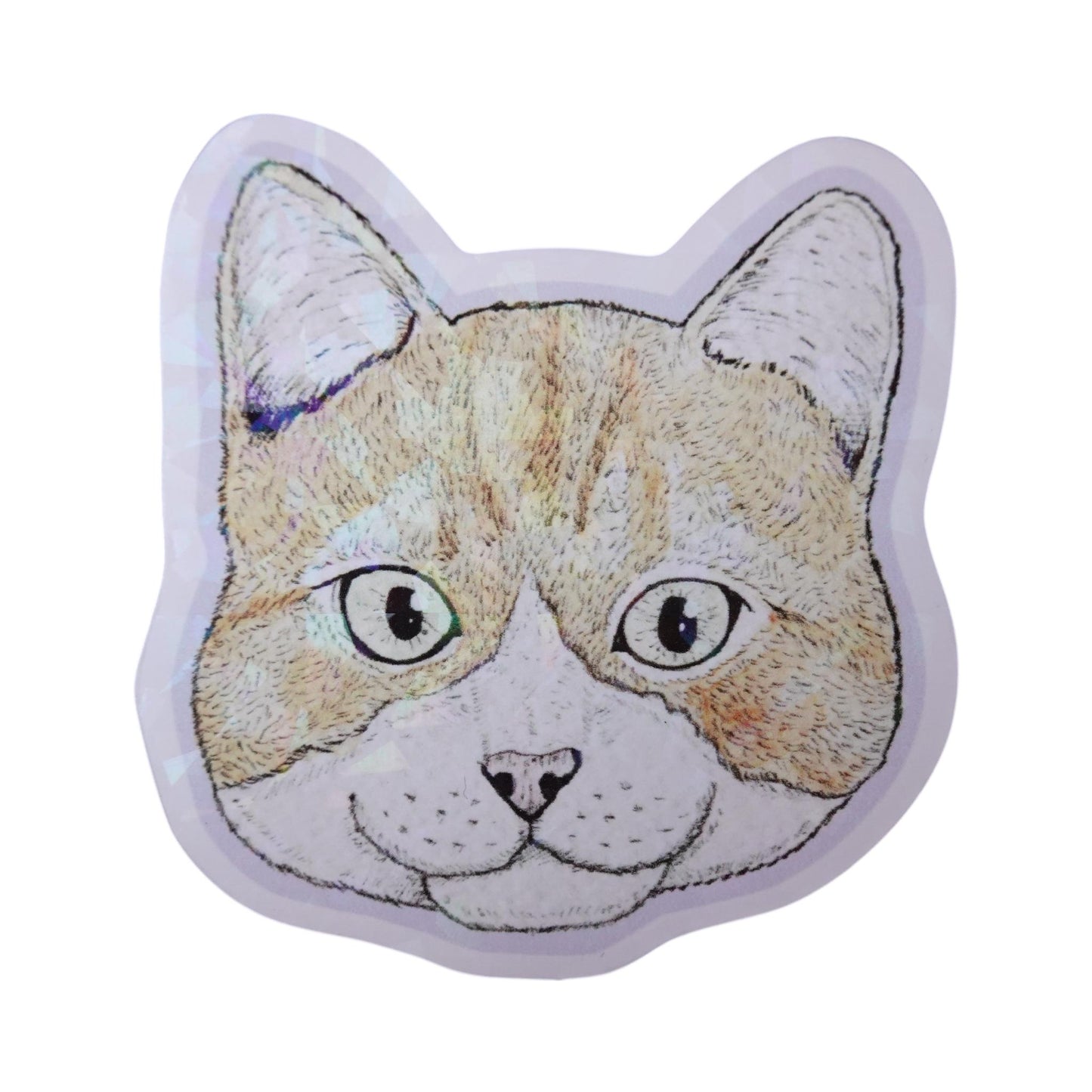 Sticker cara gato naranja con blanco