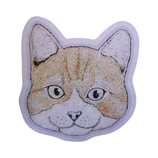 Sticker cara gato naranja con blanco