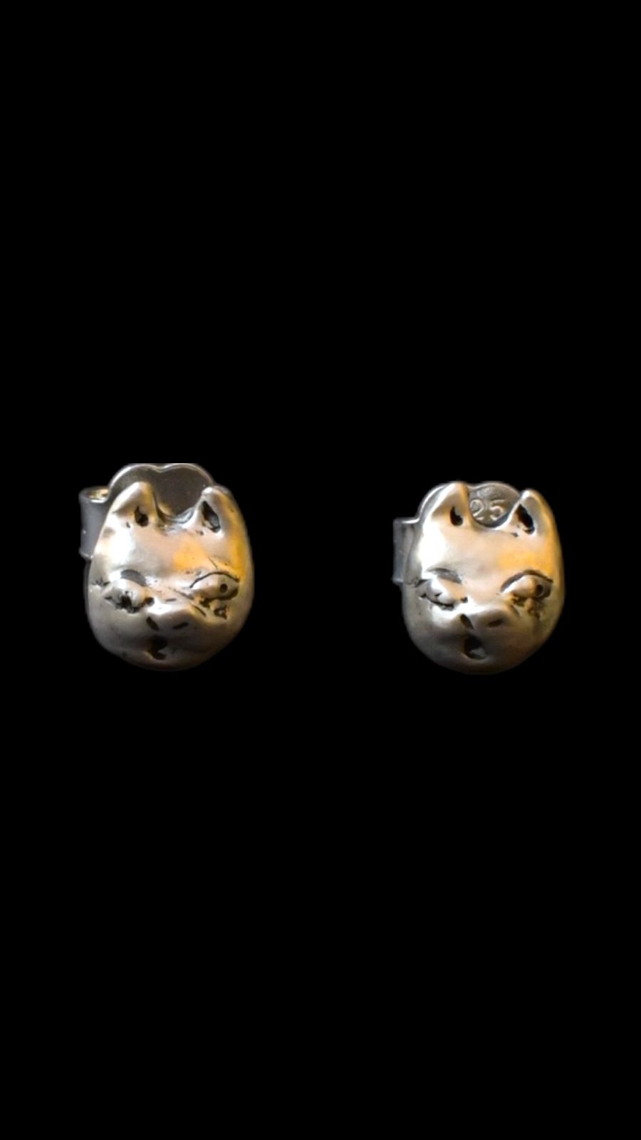 Gatos malos broquel