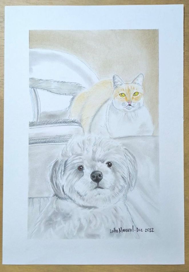 ILUSTRACION PERSONALIZADA DE 2 personajes