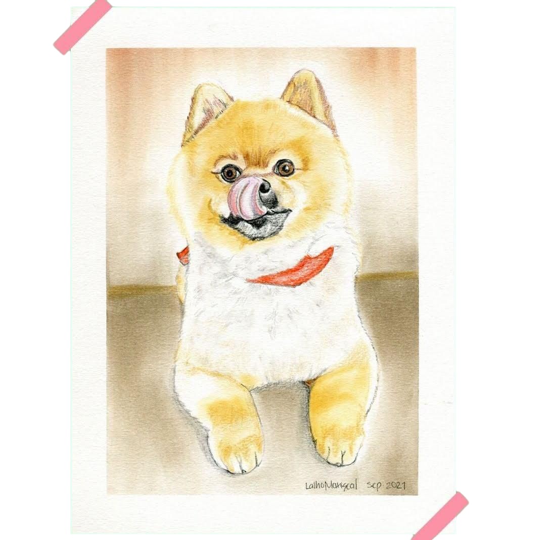 ILUSTRACION PERSONALIZADA DE 1 PERSONAJE